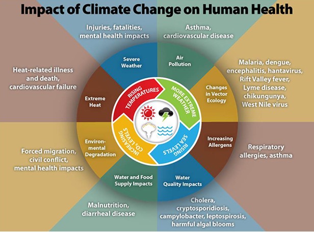 Ten Trends Blog #5- Impact of Climate Change on Human Health
