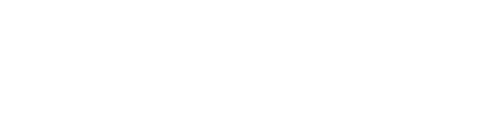 (ANA) American Nurses Association - White